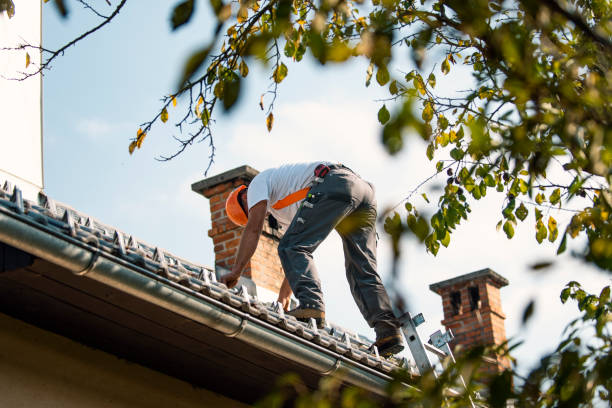 Best Roof Gutter Cleaning  in Brogden, NC