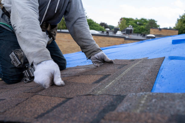Best Best Roofing Contractors  in Brogden, NC